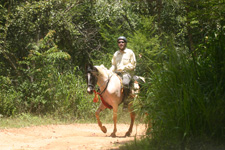 Sri Lanka-Sri Lanka-Sea, Temples & Tea Riding Tour